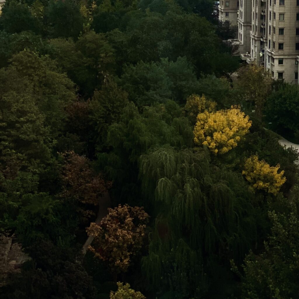 微信图片 20260122162457 192 3